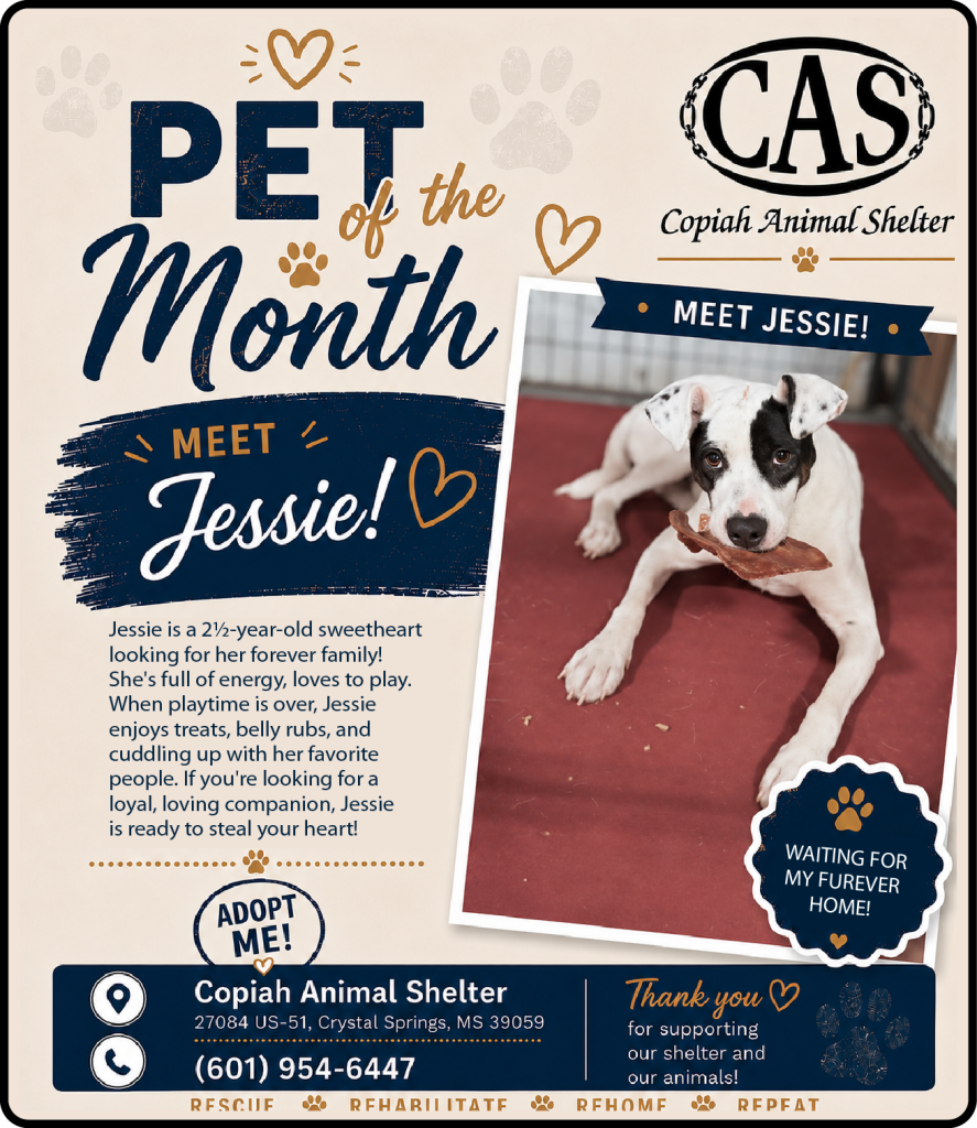 Pet Of The Month Jessie