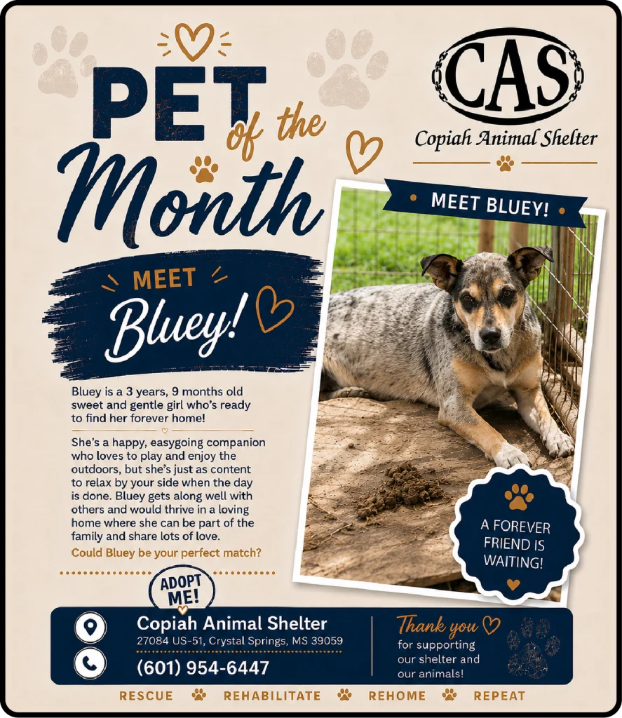 Pet of the Month